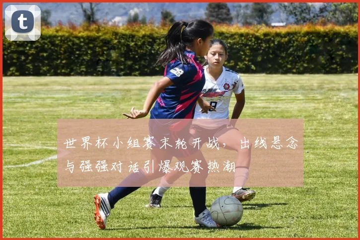 世界杯小组赛末轮开战，出线悬念与强强对话引爆观赛热潮