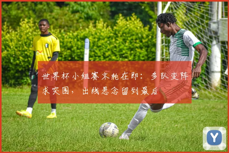 世界杯小组赛末轮在即：多队变阵求突围，出线悬念留到最后